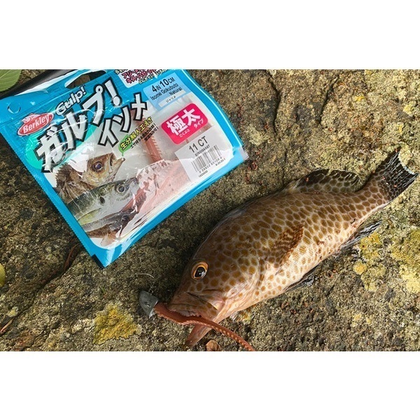 ガルプ!ソルトウォーターイソメ 太身 4インチ